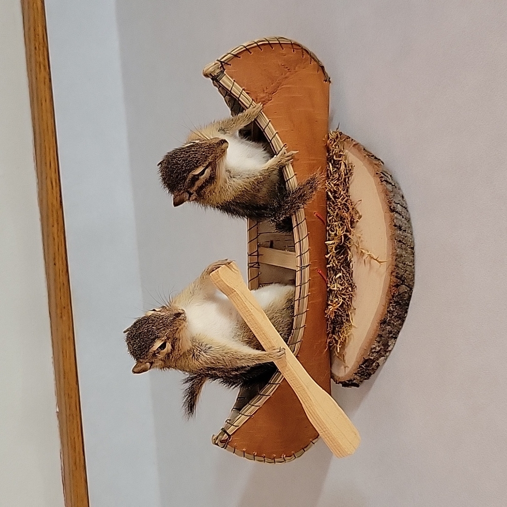 Chipmunks in a canoe